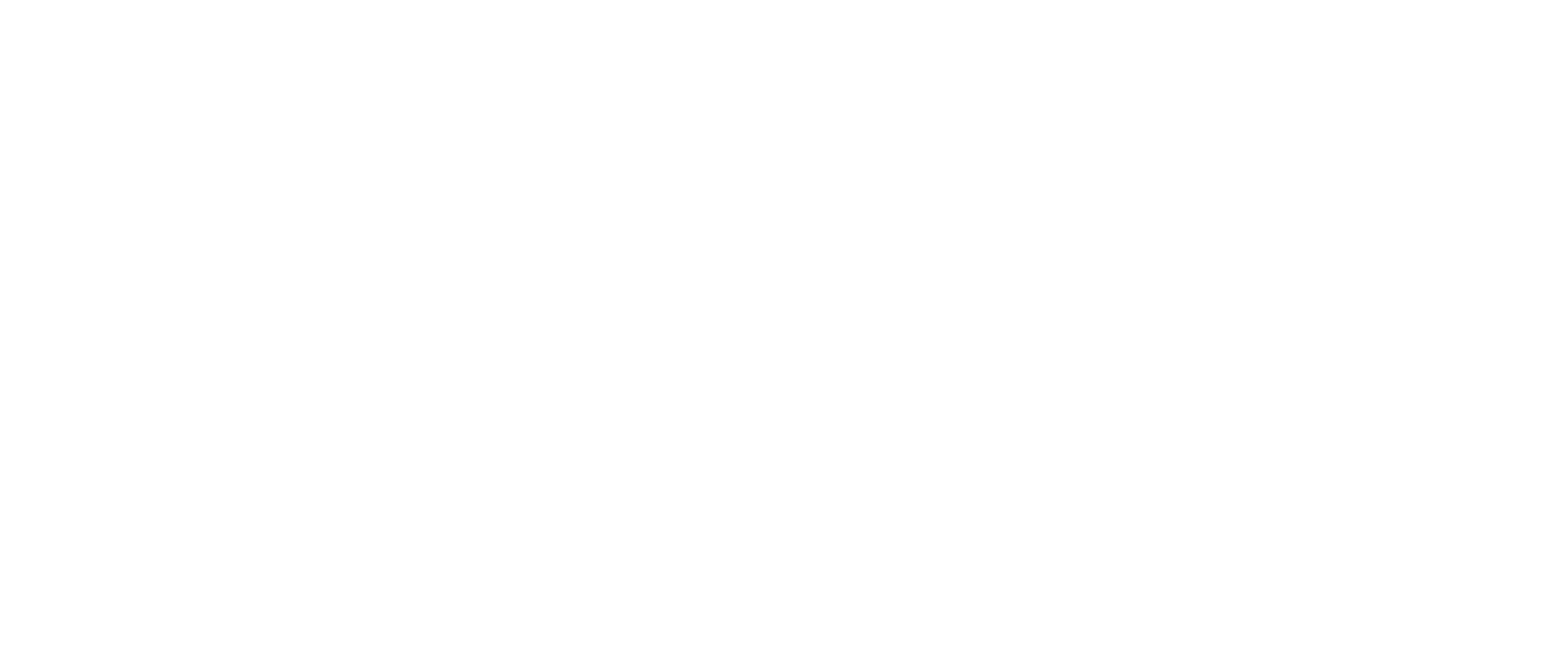 Asset 12