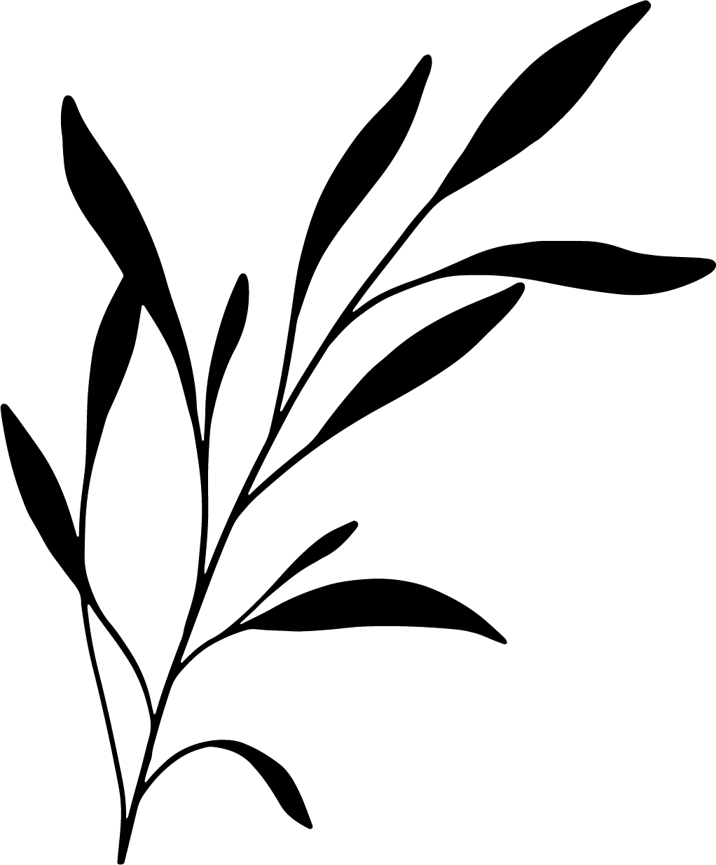 Asset 9